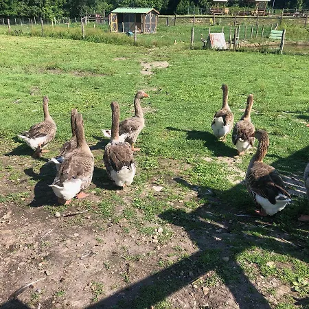 Lejlighed Le Pintey Lac